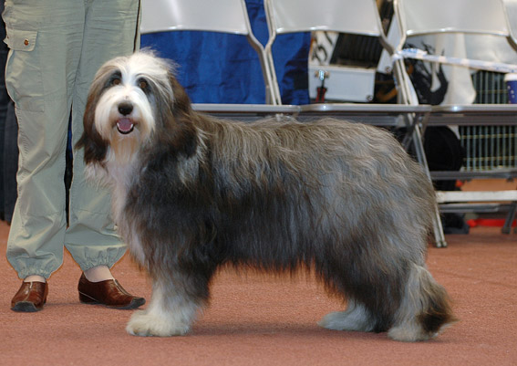 DSC_0313mindi