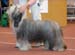DSC_0327moona