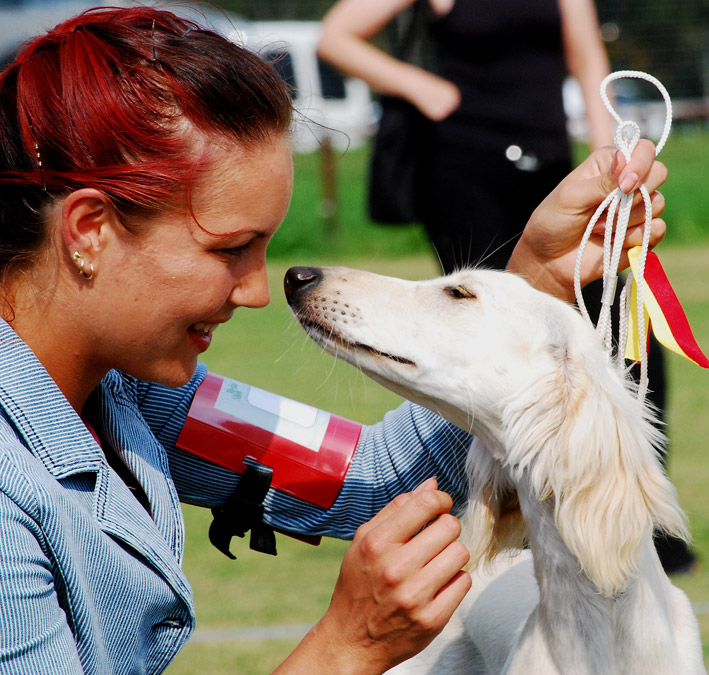 DSC_0375_saluki